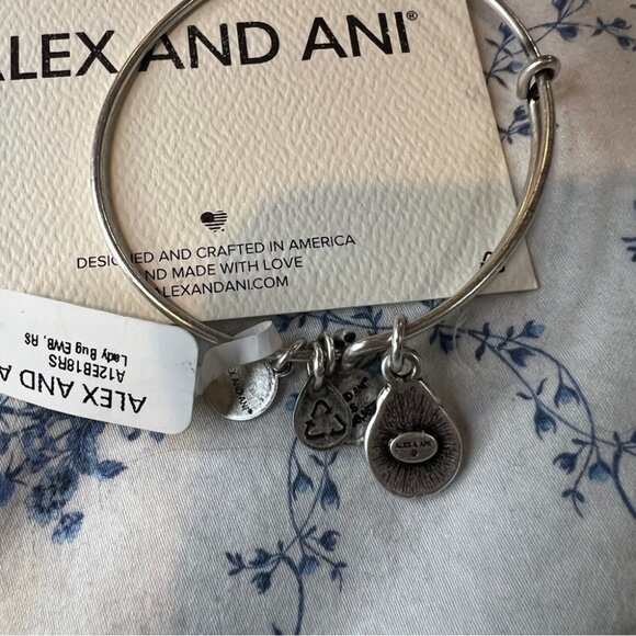 Alex and Ani | NWT Ladybug Bracelet - Picture 4 of 4